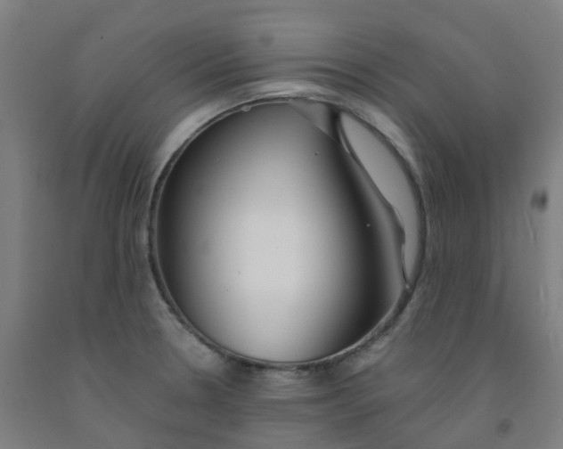 X0000091971330200709271359