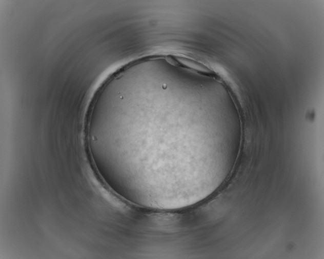 X0000091971331200709271359