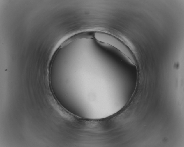 X0000091971332200709271359