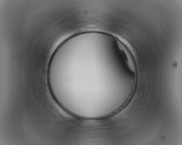 X0000091971333200709271400