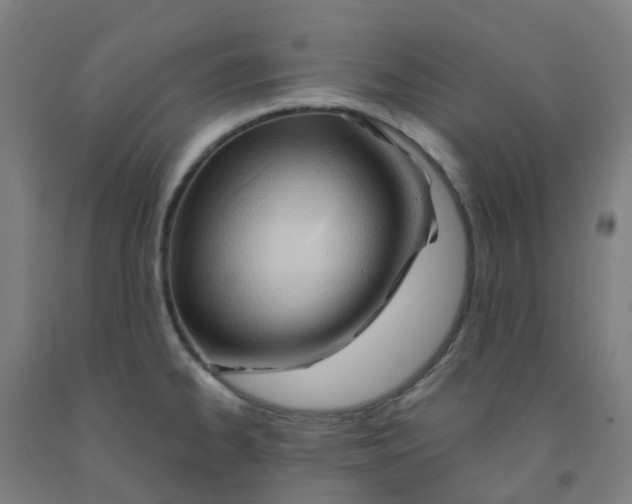 X0000091971334200709271400