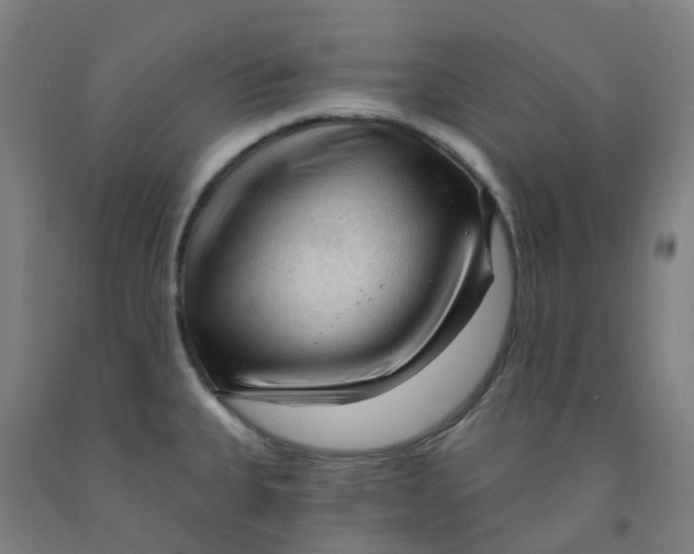 X0000091971335200709271400
