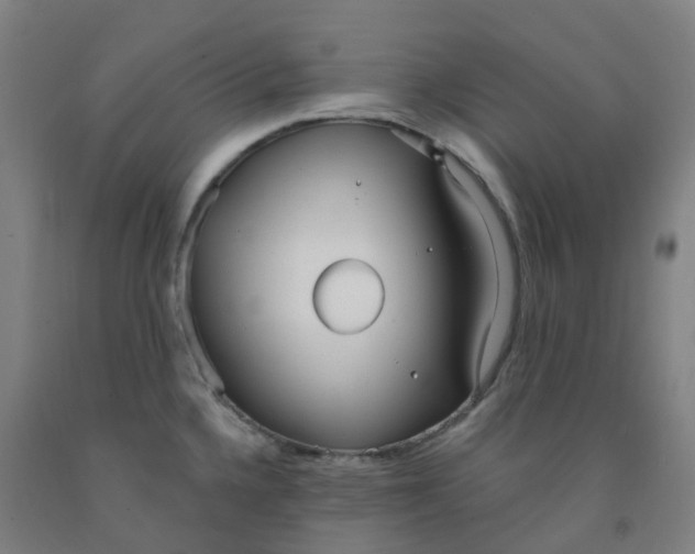 X0000091971336200709271400