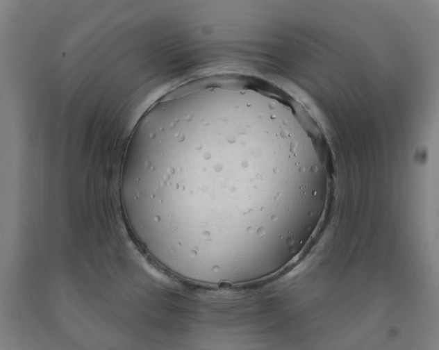 X0000091971337200709271400
