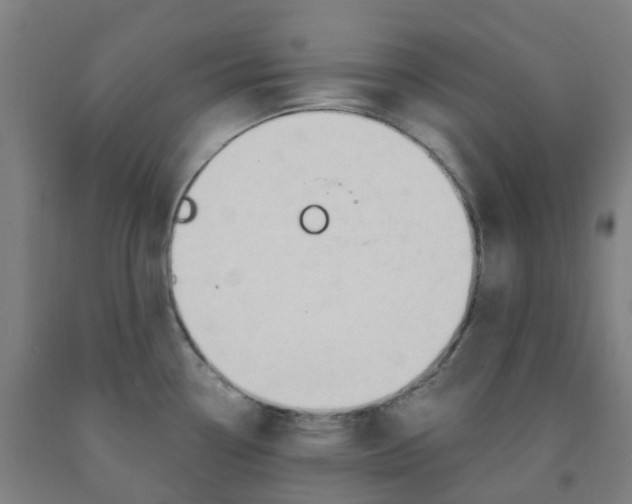 X0000091971338200709271400