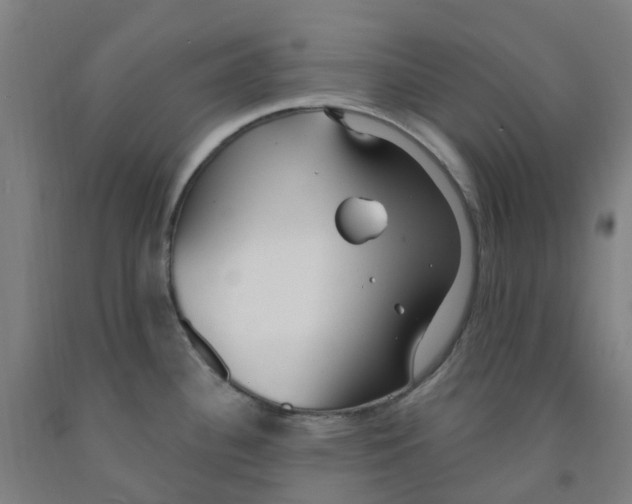 X0000091971340200709271400