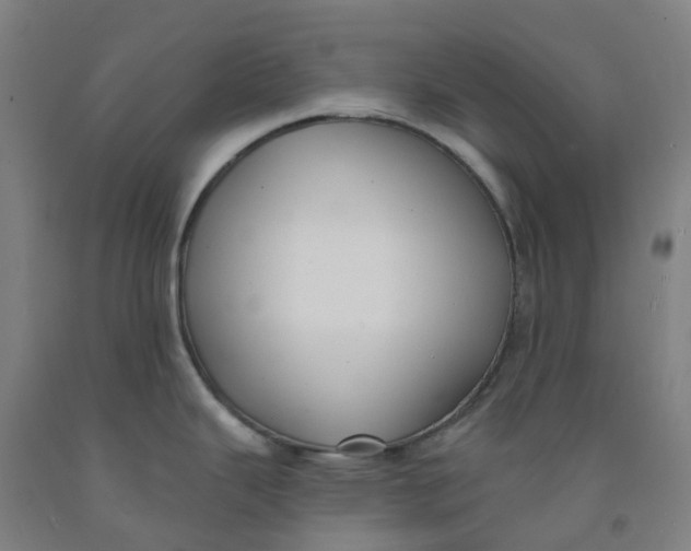 X0000091971343200709271400