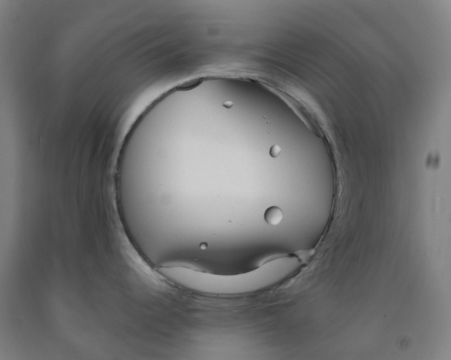 X0000091971344200709271400