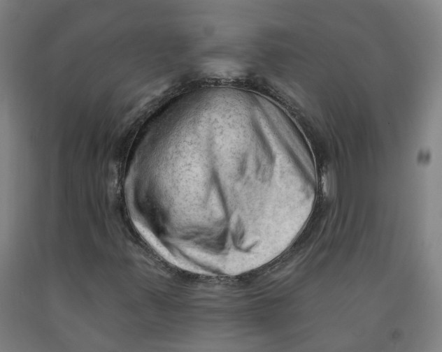 X0000091971347200709271359