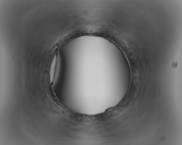 X0000091971349200709271359
