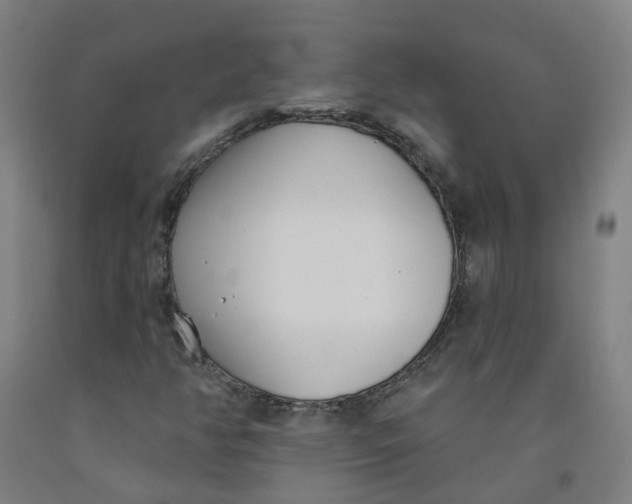 X0000091971350200709271359
