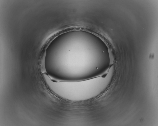 X0000091971352200709271359