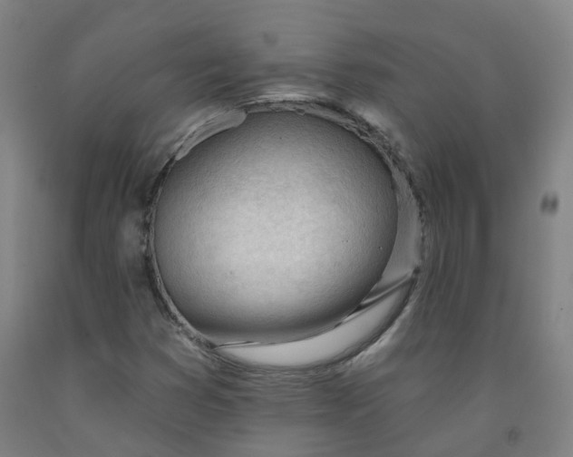 X0000091971353200709271359