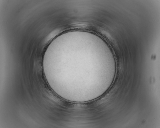 X0000091971354200709271359