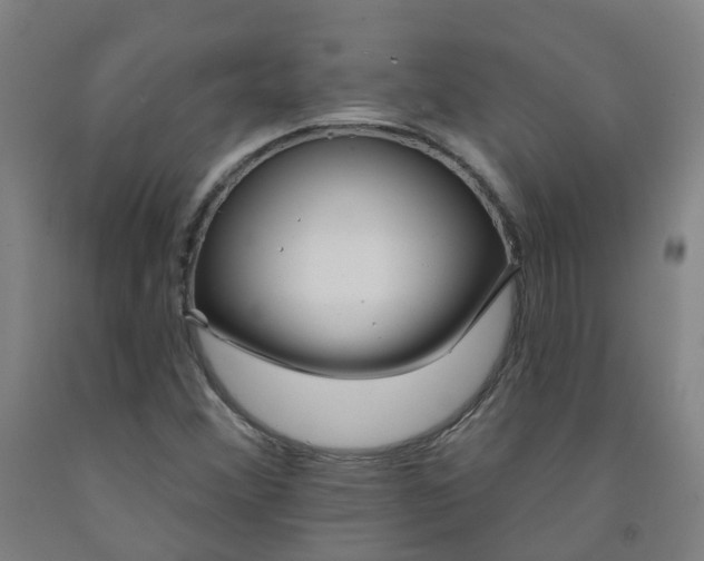 X0000091971356200709271359