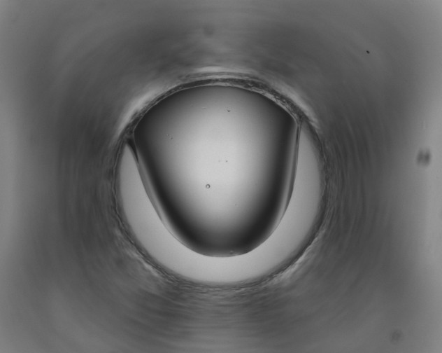 X0000091971357200709271359