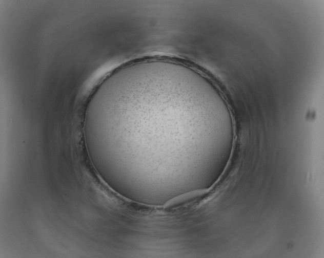 X0000091971359200709271359