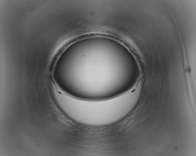 X0000091971360200709271359