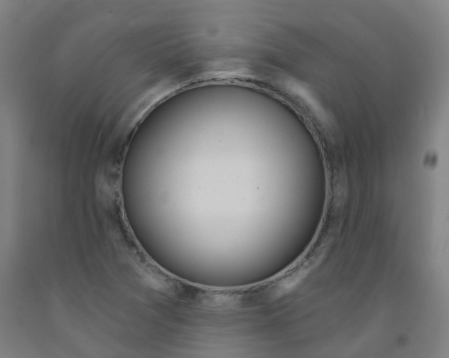 X0000091971361200709271359