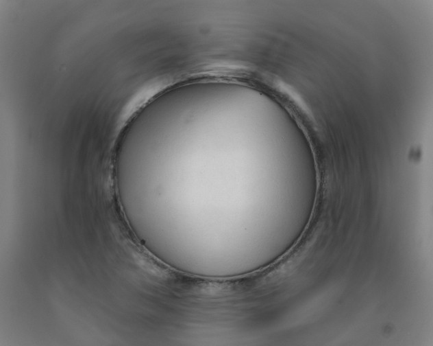 X0000091971362200709271359