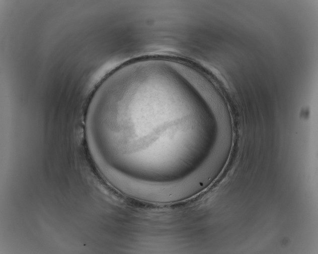 X0000091971363200709271359