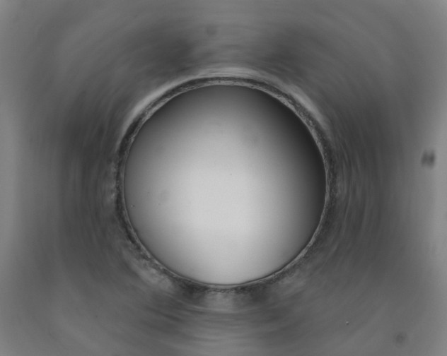 X0000091971364200709271359