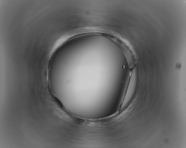 X0000091971365200709271359