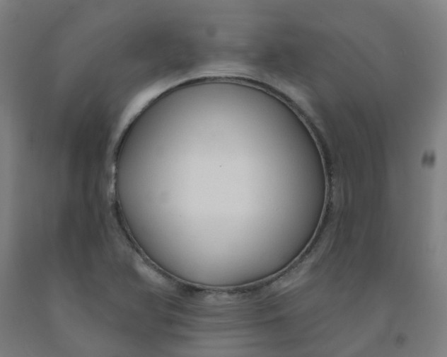 X0000091971366200709271359