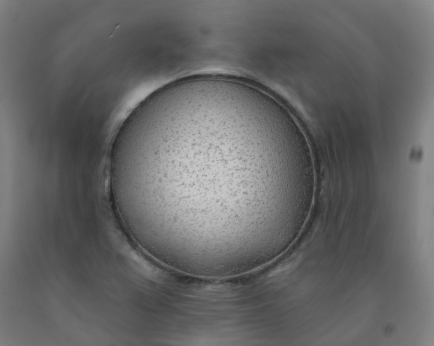 X0000091971367200709271359