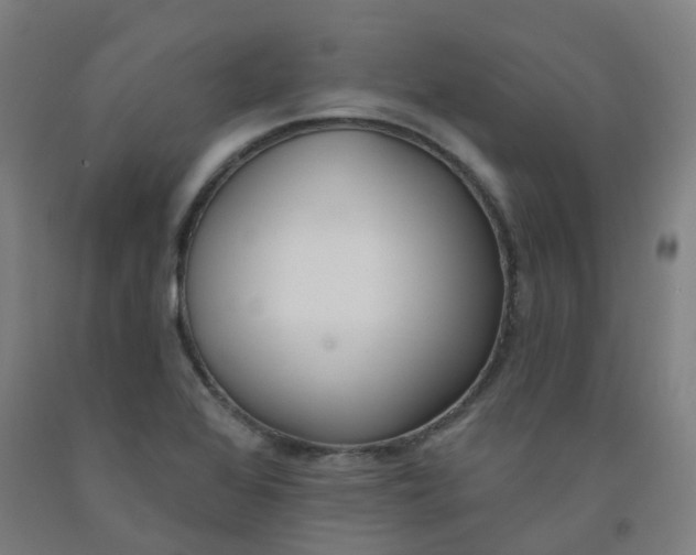 X0000091971368200709271359