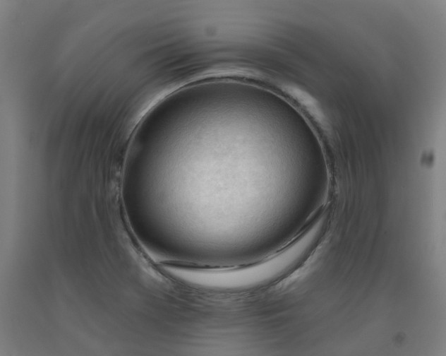 X0000091971369200709271359