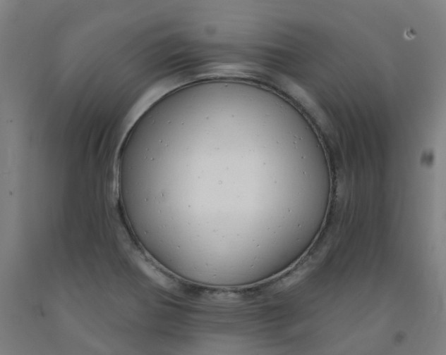 X0000091971370200709271359