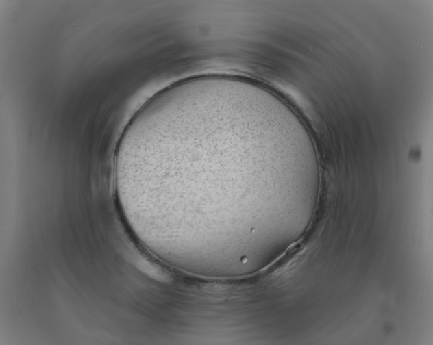 X0000091971371200709271359