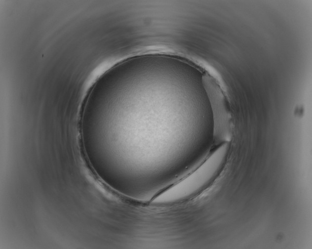 X0000091971373200709271359