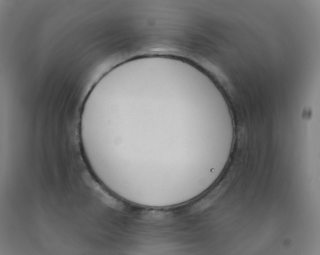 X0000091971374200709271359