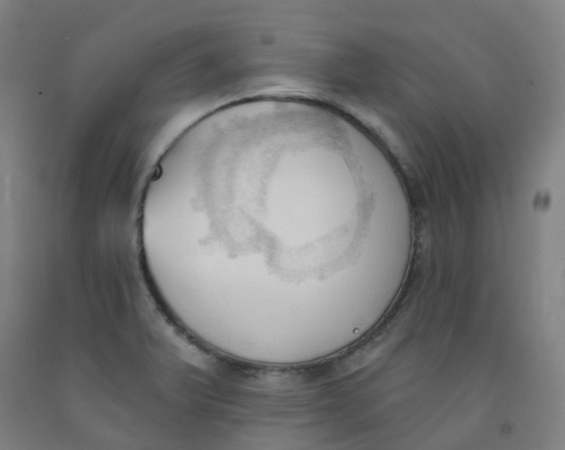 X0000091971375200709271358