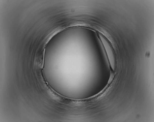 X0000091971377200709271358