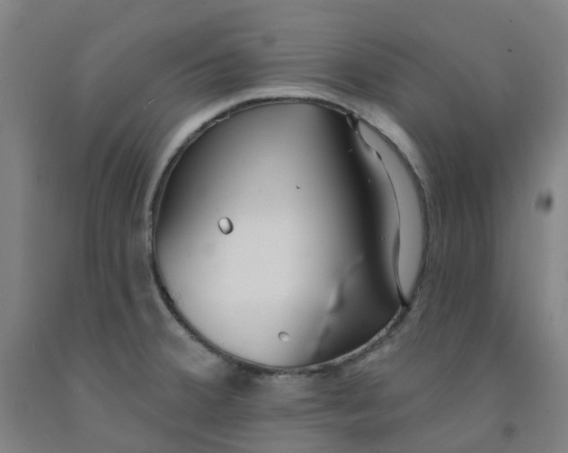 X0000091971380200709271358