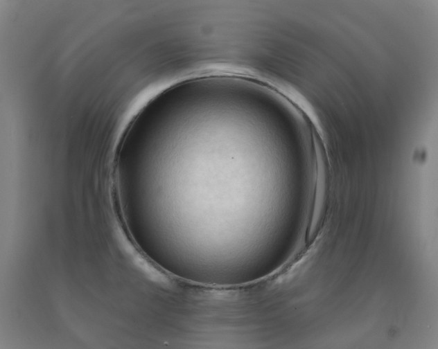 X0000091971381200709271358