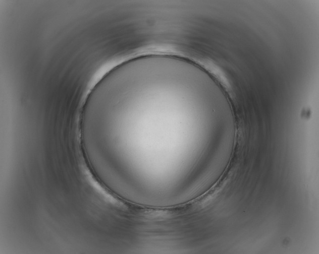X0000091971382200709271358