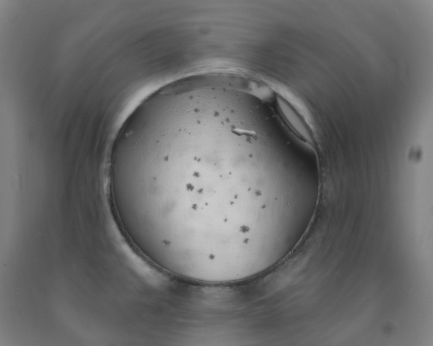 X0000091971383200709271358