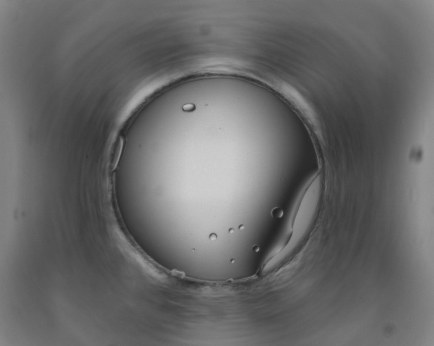 X0000091971384200709271358