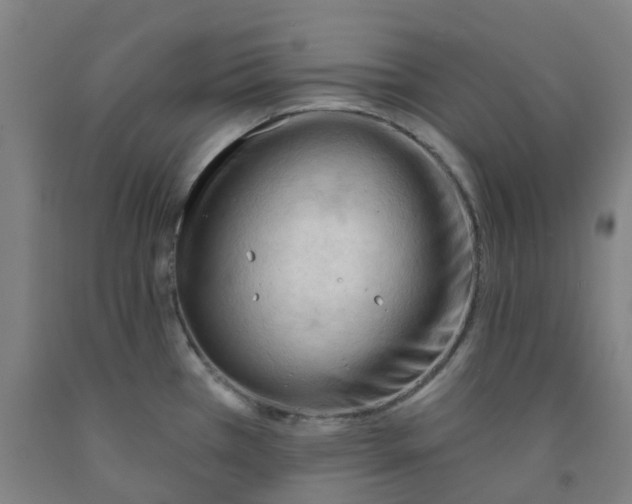 X0000091971385200709271358