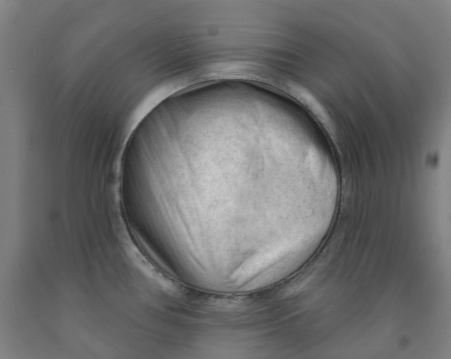 X0000091971386200709271358