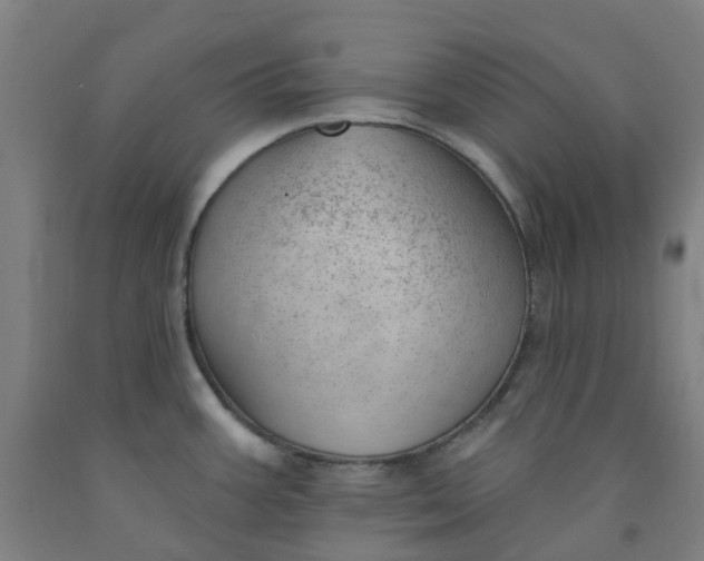 X0000091971387200709271358
