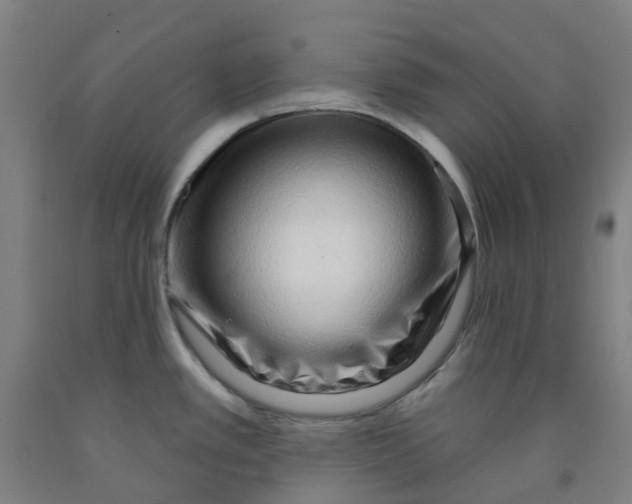 X0000091971389200709271358