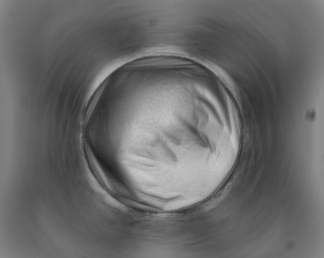 X0000091971390200709271358
