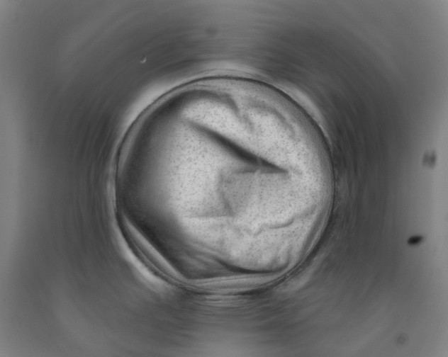 X0000091971391200709271358