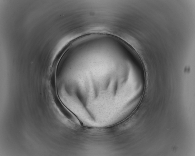X0000091971392200709271358