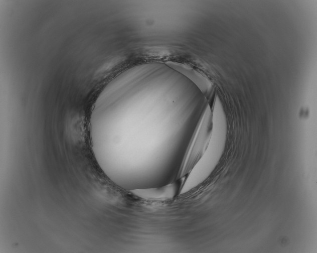 X0000091971394200709271358